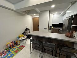Suites At Orchard (D9), Apartment #475747351